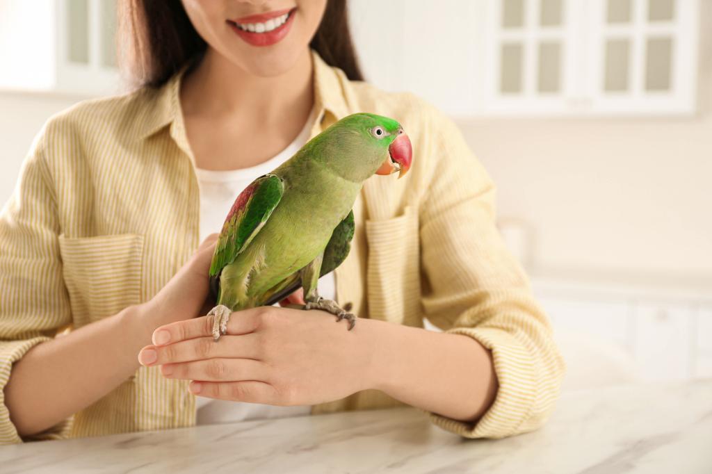 Dear Abby: My sister demands that her pesky bird sit at the dinner table